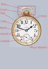 Parts of a Pocket Watch